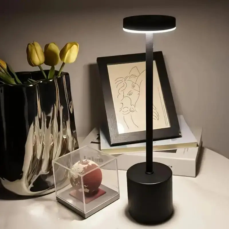 USB Rechargeable Table Lamp Modern Touch Control LED Desk Lamp, Wireless Ambient Light